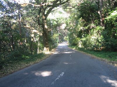 真鶴岬の道 センターライン有り