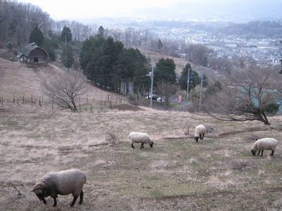 弘法山公園 めんようの里