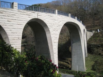 七沢森林公園 森のかけはし