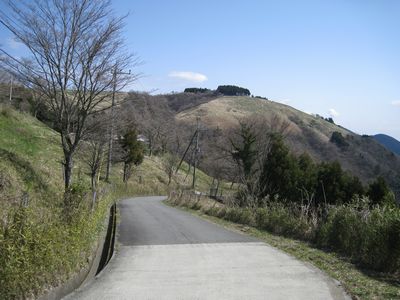 大野山の道 大野山牧場入口付近