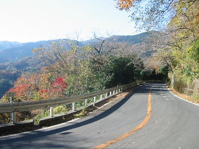 椿ライン