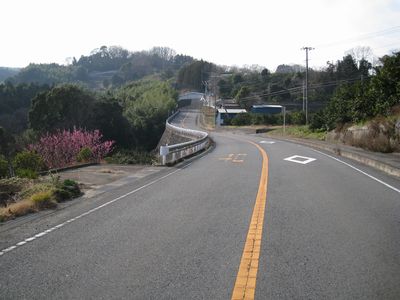 やまゆりライン 中井町半分形