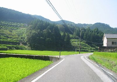 高知県道22号龍河洞公園線 香美市土佐山田町逆川