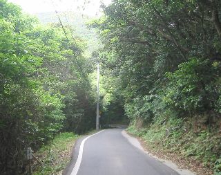 高知県道43号 柏島二ッ石線 一切〜観音岩