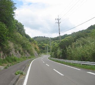 高知県道43号 柏島二ッ石線 頭集付近