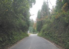 国道387号 西里
