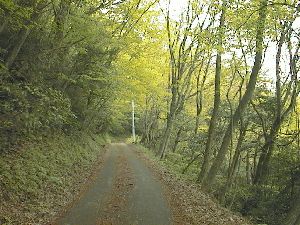 槇山への道