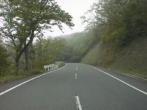 丹後半島縦貫林道 碇高原へ