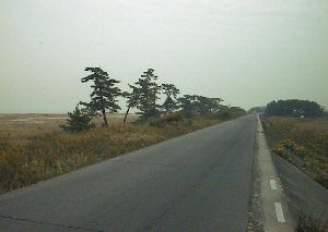 河芸の堤防の道