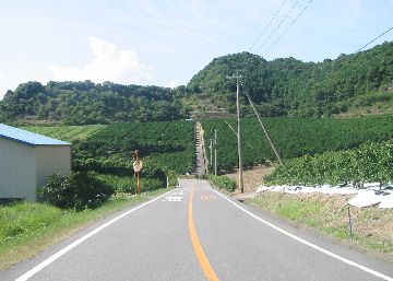 オレンジロード 中立