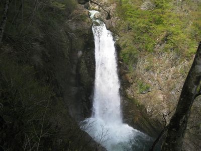 秋保大滝 滝見台より