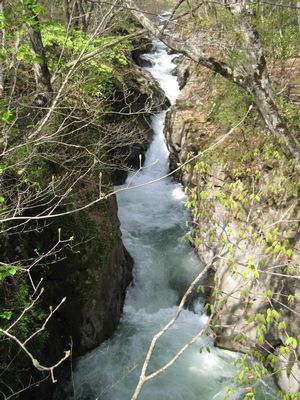 荒沢の大滝の上流 大滝橋より