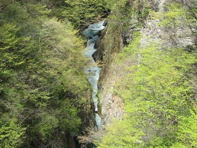 鳳鳴四十八滝 セイコウ大橋より