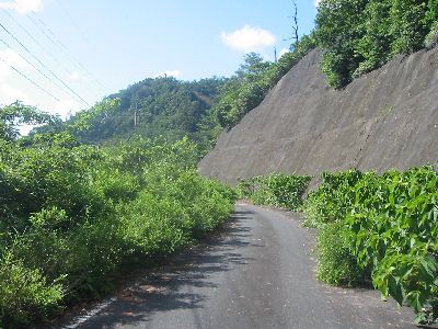 陣が峰への道 延岡市北浦町市振
