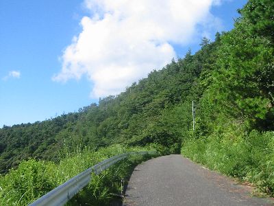 陣が峰への道 延岡市北浦町古江