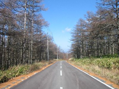 チェリーパークラインの北の道 群馬県嬬恋村