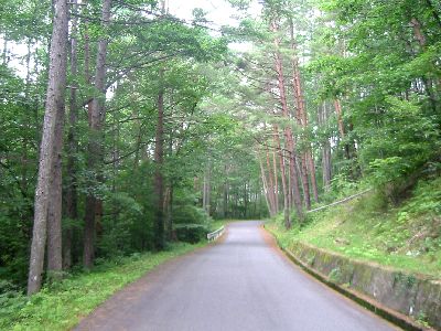 旧国道361号・地蔵峠の道 木曽町開田高原末川 地蔵峠〜末川間