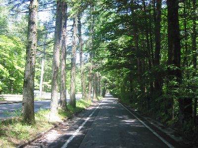 三笠通り 南方向への道(北を向いて撮影)