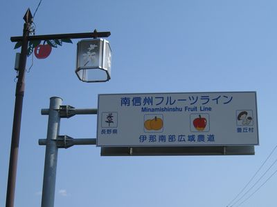 南信州フルーツライン 道路名表示板と街灯 豊岡村