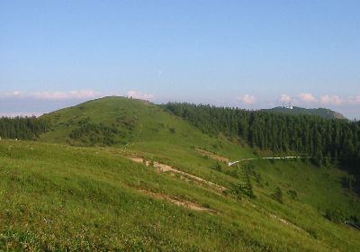 vőu̒