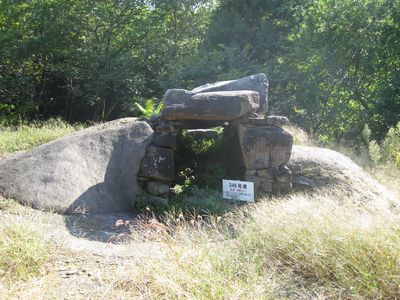 厺ÕQ@246