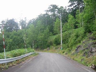 霊峰ライン 六合目付近