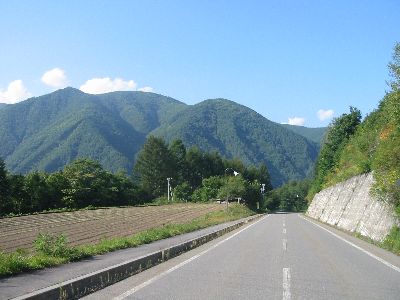 新野麦街道