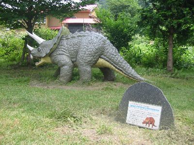 原始の地球ゾーン 生物進化ゾーンのトリケラトプス