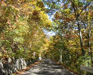 よもぎこば林道
