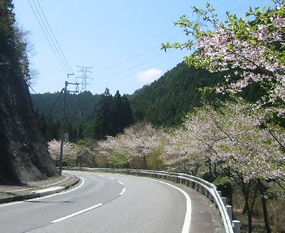 奈良県道21号大峯山公園線 洞川温泉〜川合
