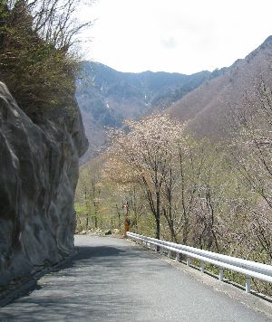 国道309号 行者還トンネル西