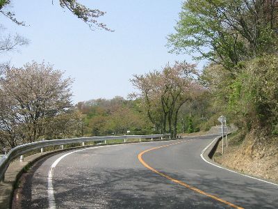 信貴生駒スカイライン 生駒山頂付近