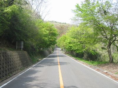 信貴生駒スカイライン 鳴川峠〜暗峠