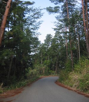 吉野山周回道路 行きルート