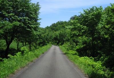ふるさと並木道 林道札山線 坊ヶ池〜広域農道清里板倉新井線