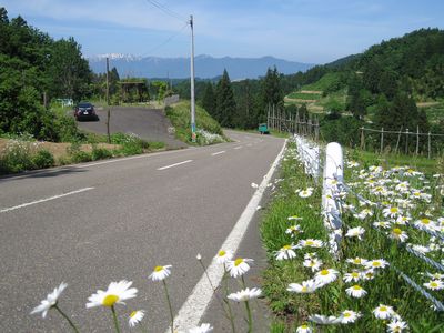 東頸城広域農道 上越市牧区泉