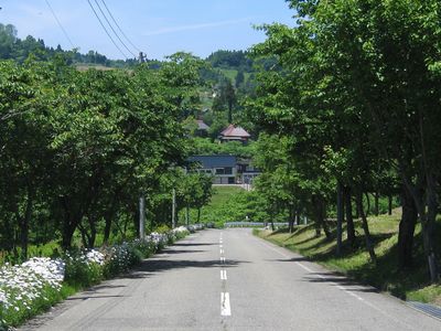 広域農道 清里板倉新井線 上越市板倉区猿供養寺