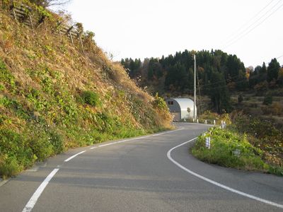 国道291号 長岡市山古志東竹沢 小松倉