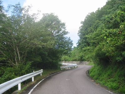 平成パークライン 大分県青少年の森付近