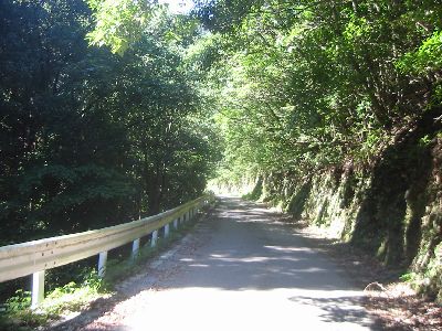 大分県道122号古江丸市尾線 佐伯市蒲江 波当津浦