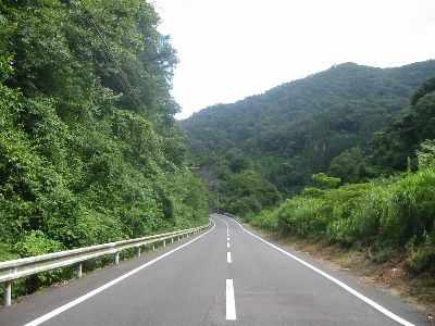 広域農道関臼津線 臼杵市佐志生 もみの木トンネルの南