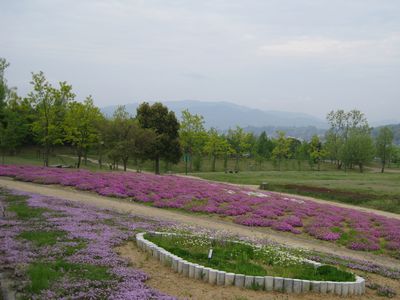 グリーンヒルズ津山 フラワーガーデン