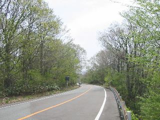 蒜山大山スカイライン 森の中
