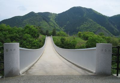 奥津湖 浮島橋