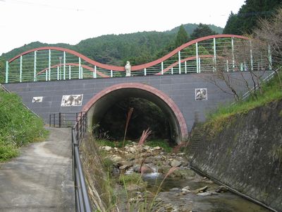 天神木橋/バード橋 下流より