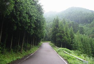 多良岳横断林道 鹿島市 国道444号の西