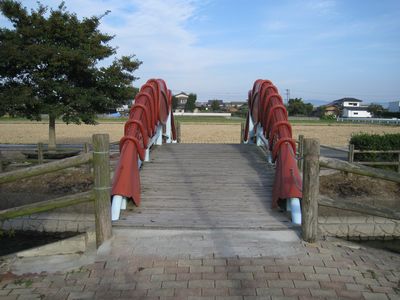 肪ɋ