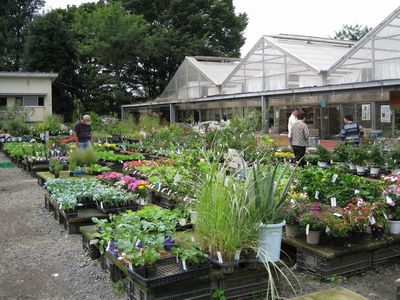 花園グリーンセンター 花植木売り場