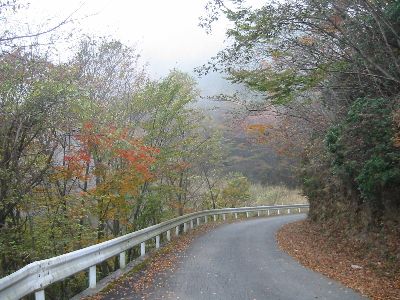 広河原逆川林道 飯能市下名栗