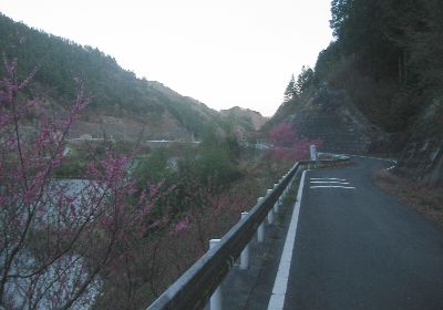 合角ダム 西秩父桃湖 女形沢西岸の道